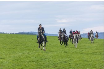 Fuchsjagd Rittersgrün muss witterungsbedingt abgesagt werden - So sieht es aus, wenn die Reiter zum Schlussgalopp der Fuchsjagd in Rittergrün noch mal alles geben.