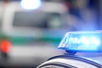 Führerlose Kutsche mit Hund beschädigt mehrere Autos - 
