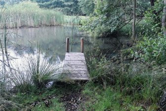 Führung durch Unterlauterbacher Teichlandschaft - Der Himmelsteich ist eines der Gewässer, die erforscht werden.