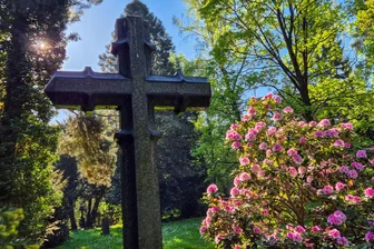 Führung vermittelt Wissenswertes über blühende Kostbarkeiten auf dem Chemnitzer Friedhof -
