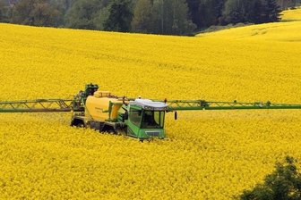 Füllt der Raps die Kassen der Bauern? - Durch die feuchte Witterung im Mai sind die Landwirte mit dem Pflanzenschutz etwas in Verzug geraten.