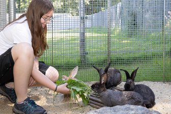 Fünf Kaninchen in Waldstück im Erzgebirge ausgesetzt: Wie es nun weitergeht - Nathalie Wagner versorgt die offenbar ausgesetzten Kaninchen im Tierheim „Neu-Amerika“.