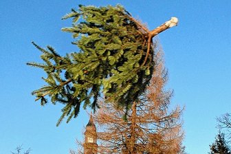 Fünf Tipps für das Wochenende: Das gibt es nur in Mittelsachsen - Wie weit fliegt eigentlich ein Weihnachtsbaum? Am Samstag gibt es dazu ab 17 Uhr einen Wettbewerb im Peniger Ortsteil Niedersteinbach.