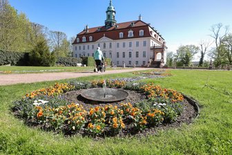Fünf ultimative Pfingsttipps für Mittelsachsen - Blumen im Schlosspark Lichtenwalde: Am Pfingstmontag erklingt dort am Konzertplatz Musik vom Brass & Swing Orchester Ottendorf.