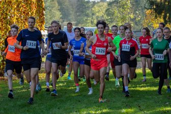 Fünf Zwickauer Siege bei der Crosslauf-Regionalmeisterschaft in Naundorf - Das Foto zeigt den Start der Hauptläufe über 5,7 Kilometer.