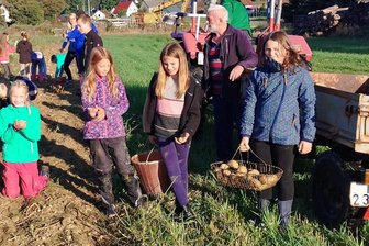 Für die eigene Schulküche: Eichigter Schüler packen bei Kartoffelernte mit an - Mit Begeisterung waren die Eichigter Viertklässler im Einsatz.