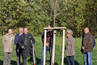 Für die Meeraner Baumpflanzaktion kann man sich jetzt anmelden - Am 10. November findet wieder die traditionelle Baumpflanzung in „Meeraner Meerchenwald“ statt.