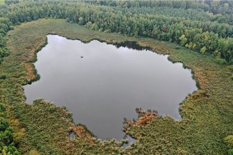 Für die Umwelt: Wismut legt Vogelparadies trocken - Bis zu 1,80 Meter tief steht das Wasser auf Dänkritz II - noch ist es ein Paradies für Vögel.