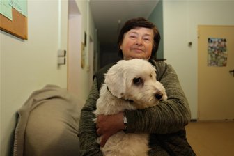 Für Hündchen Idefix aus dem Tierheim Crimmitschau gibt es ein Weihnachtswunder - Idefix hat mit seinem freundlichen Wesen schnell die Zuneigung von Karin Junold und den anderen Tierheimmitarbeitern errungen.
