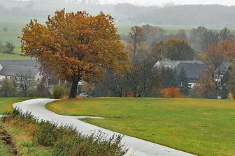 Für jeden Schulanfänger einen Baum - Entlang des Viehweges, der Niederalbertsdorf und Langenbernsdorf miteinander verbindet, sollen mehrere Bäume gepflanzt werden. 