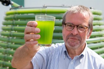Für ruhigere Schweine: Agraset in Erlau will auch künftig auf Mikroalgen setzen - Dr. Martin Ecke von Gicon zeigte im Sommer 2021 die in Naundorf bei Agraset hergestellte Algensuspension.