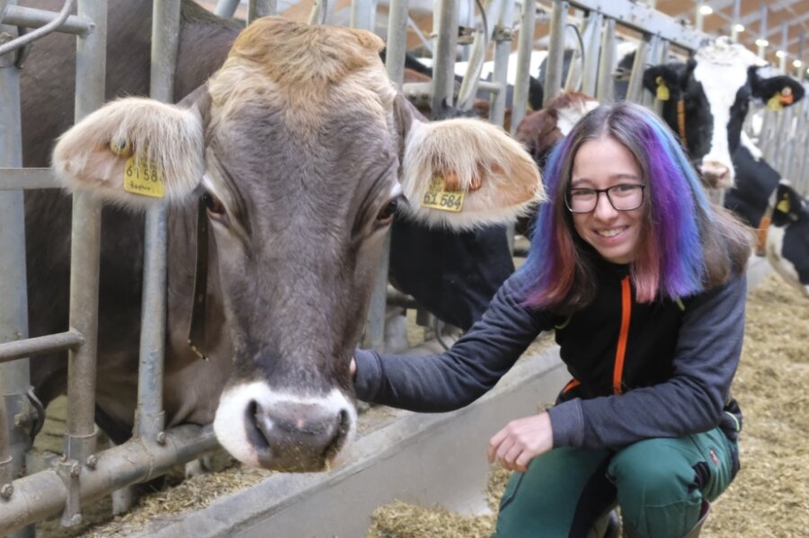 Für Sachsens beste Tierwirtin dreht sich alles um die Kuh - Jona Leistl mit der Milchkuh Blue Ivy in einem der modernen Offenfrontställe in der Milchviehanlage Rotschau der Agrargenossenschaft Reichenbach. 
