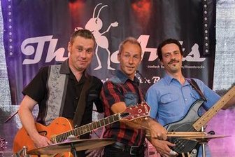 Fürstentag: Rockige Klänge läuten Spektakel ein - The Ants hatte das Konzert am Donnerstag eröffnet.