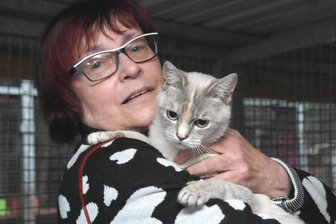 Fundkatze aus Rochlitz sucht nach ihrem Zuhause - Seniorchefin Rosi Pfumfel hält eine Siamkatze auf dem Arm. Die Seniorchefin hofft, dass sich Katze und Halter wiederfinden.