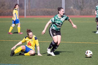 Fußball: Herolderinnen verteilen gegen Heidenau zu viele Geschenke - Gegen Heidenau (mit Anna Schambach) mussten die Herolder Fußballerinnen um Danja Fröhner (r.) eine Niederlage einstecken.