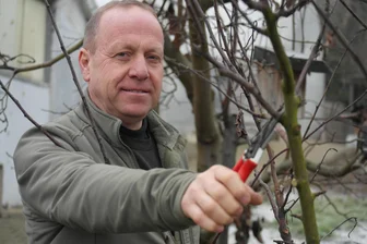 Gärtner aus Geringswalde gibt Tipps zum richtigen Obstbaumschnitt - Bis Ende Februar sollte der Obstbaumschnitt erledigt sein. Gärtner Falk Horn hat sich ein gekreuztes Gehölz der Sorte Gloster vorgenommen.