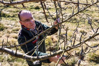 Gärtner im Erzgebirge aufgepasst: Fachmann erklärt, wie der Obstbaumschnitt richtig gelingt - Jörg Unger gibt zum Gehölzschnitt bei einem Kurs auf der Streuobstwiese nahe Schönheide Tipps.