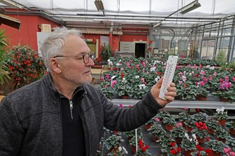 Gärtnerei aus Glauchau wegen Heizkosten ohne eigene Weihnachtssterne: „Wie sollen wir künftig unsere Gewächshäuser beheizen?“ - Immer wieder geht der bange Blick von Gärtnermeister Mike Schmidt auf das Thermometer im Gewächshaus. Muss er noch mehr heizen?