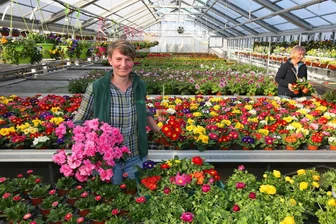 Gärtnerei, Eiscafé und Co.: An diesen vier Orten in Zwickau begegnet man dem Frühling - Mitarbeiterin Madlen Dohnke inmitten farbenfroher Frühblüher in der Gärtnerei Ziegengeist.