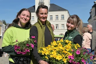 Gärtnern im Erzgebirge: Pflanzenmarkt in Schneeberg bietet reichlich Inspiration - Mit dabei beim Pflanzenmarkt: Luisa Seiferth, Nikola Schönhoff und Lana Seiferth (v. l.) vom Gartenbau Seiferth.