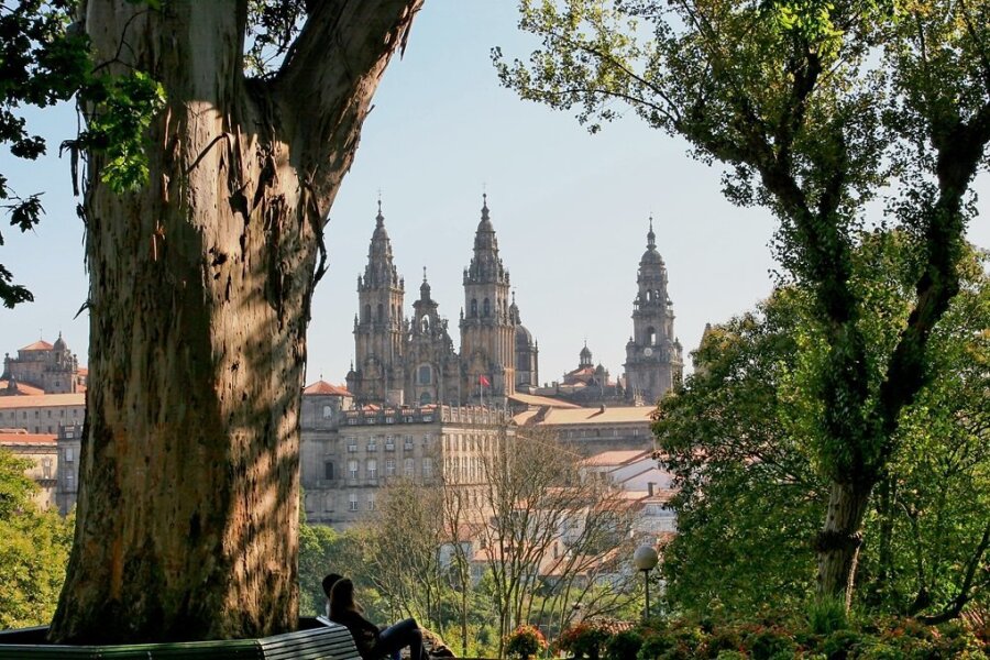 Galicien - Sehnsuchtsland der Pilger - Vom Alameda-Park in Santiago de Compostela eröffnet sich dieser Blick auf die Kathedrale, den Sehnsuchtsort der Jakobspilger. Der "Eukalyptus der Liebenden" links ist einer der ältesten auf der iberischen Halbinsel. Seinen Beinamen trägt er wegen der vielen Stelldicheins unter seinem Blätterdach. 