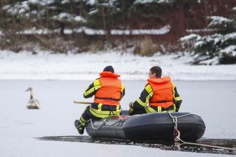 Gans auf Eisfläche ruft besorgte Bürger auf den Plan -