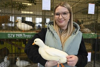Ganz in Weiß: Zwergenten und Lockentauben bei Ausstellung im Vogtland top - Lea Prager wurde Vereinsmeisterin mit Zwergenten im Farbenschlag weiß.