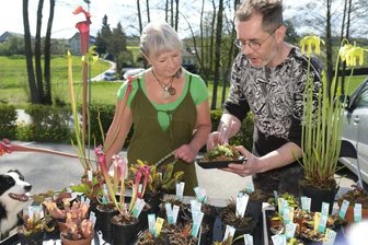 Gartenbörse bietet fleischfressende Pflanzen und vieles mehr -