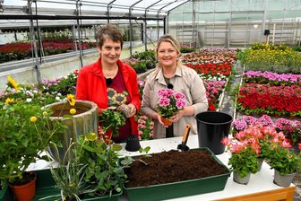 Gartenexpertin des MDR holt Sonnenkraft und Mondglanz aus Frankenberg - Der „MDR Garten“ war zu Gast in der Gärtnerei Blankenburg in Frankenberg: Moderatorin Diana Fritzsche-Grimmig sprach nicht nur mit Ute Franke (l.), die Fachfrauen bepflanzten auch einen Balkonkasten.