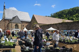 Gartenmarkt in Kloster Buch: Was die Gäste jetzt noch erwartet - Auf dem Gelände in Kloster Buch boten die Händler des Gartenmarkts eine große Auswahl.