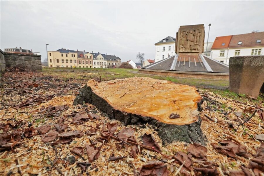 Gartenplatz in Meerane: Bürgermeister Jörg Schmeißer trommelt Stadtrat am Dienstag zur Krisensitzung zusammen - Erst nach den bereits im Februar durchgeführten Baumfällungen befasst sich der Stadtrat mit der Änderung des Grundsatzbeschlusses für das Projekt. 
