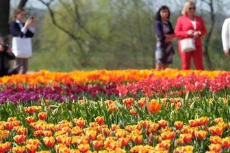 Gartenschau: Stadt plant Millioneninvestition - Bunte Blumenbeete gab es 2019 bei der Landesgartenschau in Frankenberg. Nun soll Bad Schlema erblühen.