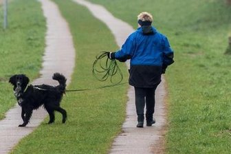 Gassi-Gang mit Folgen - zwei Verletzte -