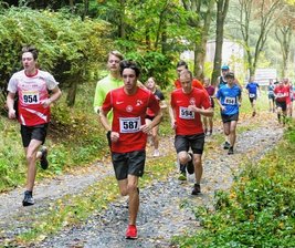 Gastgeber bejubeln sieben Titel -