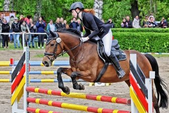 Gastgeber dominiert Reitturnier -