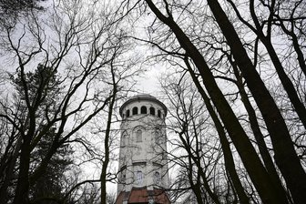 Gedenkfeier für Nazi-Opfer im Burgstädter Wettinhain - In Burgstädts Bürgerpark Wettinhain wird der Opfer des NS-Regimes gedacht.