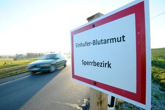 Gefährliche Pferdeseuche bei Chemnitz: Ergebnisse weiterer Blutprobenproben liegen vor - Einen Kilometer rund um den von der ansteckenden Blutarmut betroffenen Tierbestand im Oberdorf von Neukirchen wurde ein Seuchen-Sperrbezirk eingerichtet.