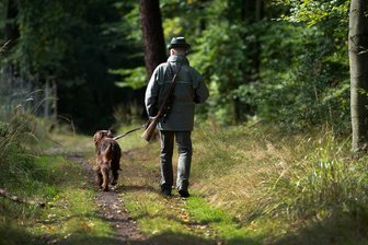 Gefahr im Erzgebirgswald: Unbekannte sägen Hochsitze an - 