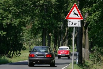 Gefahr in der Dämmerung: Plauener Rathaus warnt vor Wildwechsel - Vor Wildwechsel wird in und um Plauen - wie hier zwischen Kloschwitz und Tobertitz - an vielen Stellen gewarnt. 