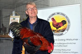 Gefiederte Schönheiten zu Schau in Erlau - Wolfgang van der Linde erhielt bei der Hauptsonderschau Welsumer und Zwerg-Welsumer einen Preis für seinen Welsumer Hahn rost-rebhuhnfarbig.
