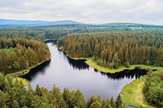 Geführte Tour zu Vogtlandsee und Hochmoor - Zum Vogtlandsee führt am Freitagmittag eine Wanderung des Naturparks Erzgebirge/Vogtland.