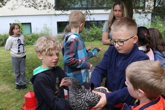 Gegacker auf dem Schulhof: Warum an einer Grundschule im Erzgebirge jetzt vier Hühner leben - Hühner und Kinder in der Grundschule Sonnenleithe.