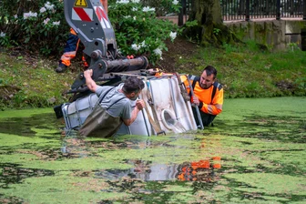 Gegen das Grün im Schwanenteich Mittweida: Hunderte Graskarpfen freigelassen - Der Bauhof von Mittweida setzte 500 Graskarpfen in den Schwanenteich.
