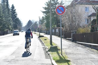 Gegen trostlosen Anblick: Anwohner der Goethestraße in Freiberg sind zu Pflanzaktion aufgerufen - Die Goethestraße, hier noch vor dem Ausbau, soll nach ihrer Sanierung nun weiter bepflanzt werden.