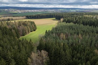 Gegen welches Thema sich der neue Ortschaftsrat von Reumtengrün stemmt - Laut sächsischem Regionalplan Wind kommt der Fronberg als eines von 61 Gebieten im Vogtlandkreis als Windräderstandort in Frage.