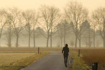 Gelb, klein und nicht ohne: Kommt jetzt Saharastaub nach Sachsen? - Saharastaub macht sich etwa durch die milchig-trübe Luft bemerkbar.