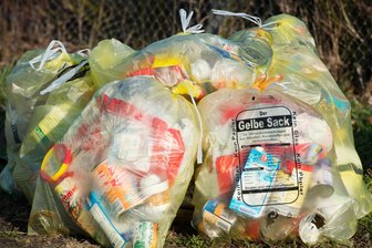 Gelbe Tonne statt Säcke: So lief die Testphase im Vogtlandkreis bisher und so geht es jetzt weiter - In den Testkommunen sind die gelben Säcke Geschichte.