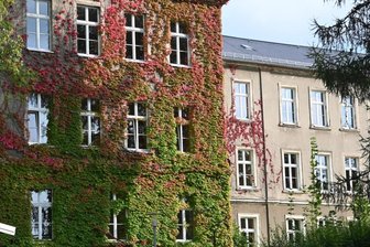 Geld für mehr grüne Fassaden - Fassadengrün an der Gablenzer Oberschule. Der Stadtrat will nach dem Vorbild anderer Städte Privateigentümer und Mietergemeinschaften bei ähnlichen Vorhaben künftig finanziell unterstützen. Foto: Andreas Seidel