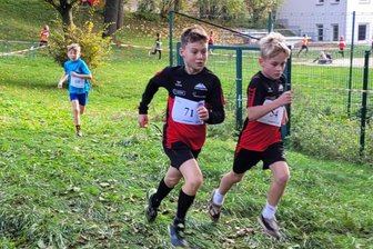 Gelenauer Crosslauf dient knapp 200 Sportlern als Generalprobe für anstehende Meisterschaften - In der M 8 ging der Sieg an Paul Thore Richter (Nummer 71).