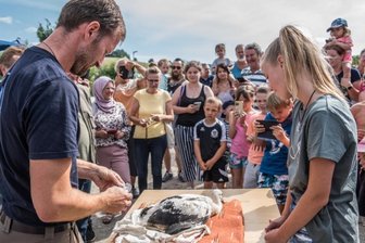 Gelenauer Weißstörche werden beringt -